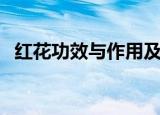 红花功效与作用及禁忌（红花功效与作用）
