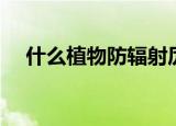 什么植物防辐射厉害（什么植物防辐射）