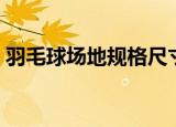 羽毛球场地规格尺寸标准（羽毛球场地规格）