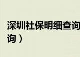 深圳社保明细查询在哪查询（深圳社保明细查询）