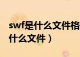 swf是什么文件格式能转换成mp4吗（swf是什么文件）
