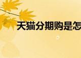 天猫分期购是怎么回事（天猫分期购）