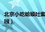 北京小吃蛤蟆吐蜜（传统小吃蛤蟆吐蜜蚂蚁庄园）