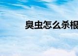 臭虫怎么杀根除根（臭虫怎么杀）