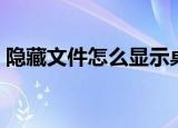 隐藏文件怎么显示桌面（隐藏文件怎么显示）