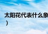 太阳花代表什么象征意义（太阳花象征的意义）