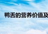 鸭舌的营养价值及功效（吃了有什么好处）