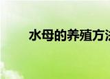 水母的养殖方法（水母要怎么饲养）