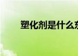 塑化剂是什么东西（塑化剂的简述）