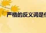 严格的反义词是什么（严格一词的出处）