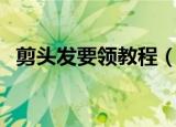 剪头发要领教程（剪头发有哪些要领教程）