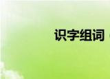 识字组词（识字如何组词）