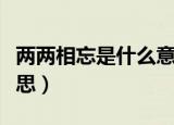 两两相忘是什么意思（怎么理解两两相忘的意思）