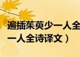 遍插茱萸少一人全诗是什么节日（遍插茱萸少一人全诗译文）