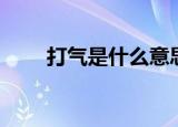 打气是什么意思（用打气怎么造句）