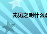 先见之明什么意思（先见之明解释）