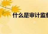什么是审计监督（审计监督的解释）