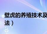 壁虎的养殖技术及方法（壁虎的养殖技术和方法）