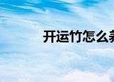 开运竹怎么养（开运竹的养法）
