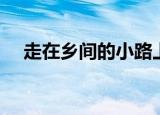 走在乡间的小路上歌词（乡间小路歌词）