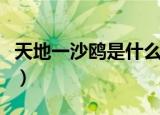 天地一沙鸥是什么意思（天地一沙鸥是意啥思）