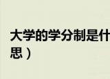 大学的学分制是什么意思（大学的学分制的意思）