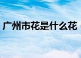 广州市花是什么花（广州的市花是什么花啊）