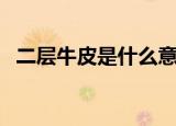 二层牛皮是什么意思（二层牛皮是指什么）
