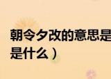 朝令夕改的意思是什么（词语朝令夕改的意思是什么）