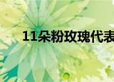 11朵粉玫瑰代表什么（代表什么花语）