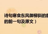 诗句寒食东风御柳斜的前一句是什么（诗句寒食东风御柳斜的前一句及原文）