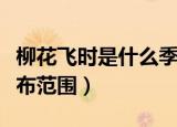 柳花飞时是什么季节（关于它的生长环境和分布范围）