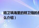 精卫填海里的精卫指的是什么（关于精卫填海里的精卫是什么介绍）