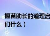 揠苗助长的道理启示（揠苗助长的故事告诉我们什么）