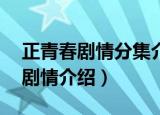 正青春剧情分集介绍（电视剧正青春1至2集剧情介绍）