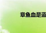 章鱼血是蓝色吗（章鱼介绍）