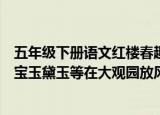 五年级下册语文红楼春趣的主要内容（红楼春趣一课主要讲宝玉黛玉等在大观园放风筝）