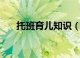托班育儿知识（托班育儿知识有什么）