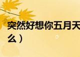 突然好想你五月天歌词（突然好想你歌词是什么）