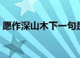 愿作深山木下一句是什么（愿作深山木原文）
