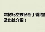霜树尽空枝肠断丁香结的意思（霜树尽空枝肠断丁香结解释及出处介绍）