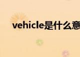 vehicle是什么意思中文（vehicle翻译）
