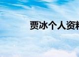 贾冰个人资料（贾冰个人简介）