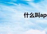 什么叫app（app的含义）