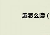 袅怎么读（袅汉字释义介绍）