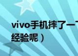 vivo手机摔了一下黑屏打不开怎么办（谁有经验呢）