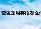 变色龙用英语怎么说（变色龙用英语如何说）