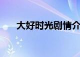 大好时光剧情介绍（电视剧内容介绍）