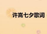 许嵩七夕歌词（许嵩七夕歌的简介）