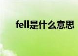 fell是什么意思（英语fell是什么意思）
